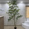 Artificial Exotica(white) Plant 250cm Artificial Exotica(white) Plant 250cm, view 2