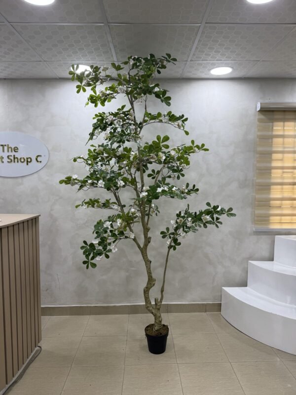 Artificial Exotica(white) Plant 250cm Artificial Exotica(white) Plant 250cm, view 2
