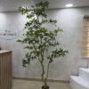 Artificial Exotica(white) Plant 250cm Artificial Exotica(white) Plant 250cm, view 3