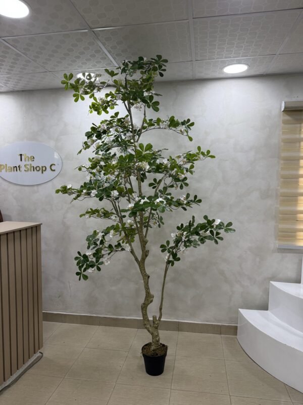 Artificial Exotica(white) Plant 250cm Artificial Exotica(white) Plant 250cm, view 3