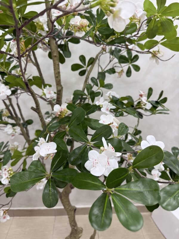 Artificial Exotica(white) Plant 250cm Artificial Exotica(white) Plant 250cm, view 5