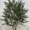 Artificial Forest Olive Tree 200cm, view 5