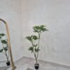 Artificial Fortune Tree 140cm