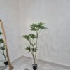 Artificial Fortune Tree 140cm, view 2