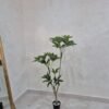 Artificial Fortune Tree 140cm, view 4