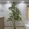 Artificial Gardenia Tree 220cm Artificial Gardenia Tree 220cm
