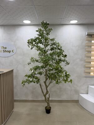 Artificial Gardenia Tree 220cm