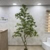 Artificial Gardenia Tree 220cm Artificial Gardenia Tree 220cm, view 2
