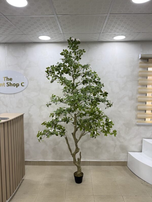 Artificial Gardenia Tree 220cm Artificial Gardenia Tree 220cm, view 2