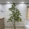 Artificial Gardenia Tree 220cm Artificial Gardenia Tree 220cm, view 3