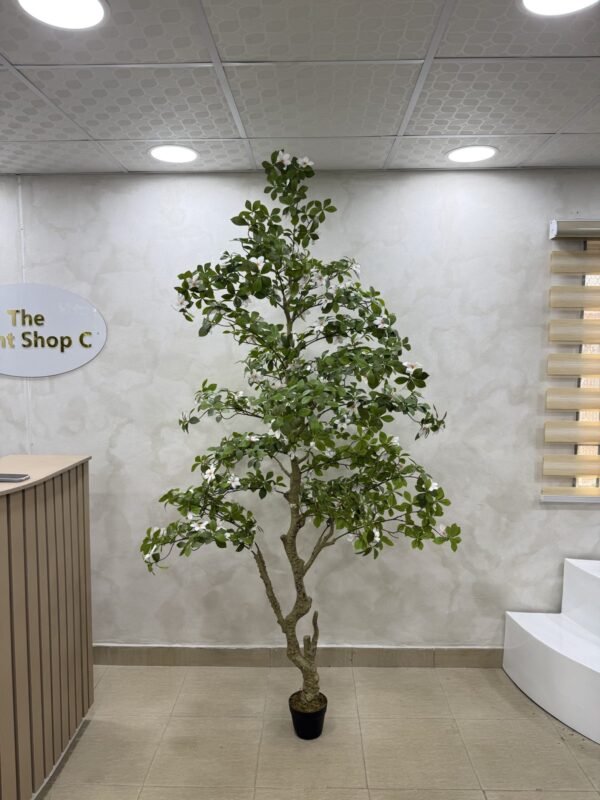 Artificial Gardenia Tree 220cm Artificial Gardenia Tree 220cm, view 3