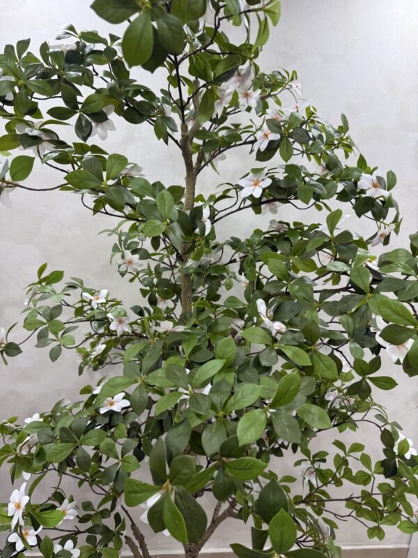 Artificial Gardenia Tree 220cm Artificial Gardenia Tree 220cm, view 4