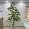Artificial Gardenia Tree 220cm Artificial Gardenia Tree 220cm, view 5