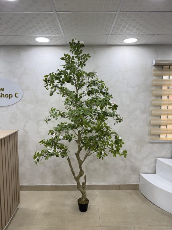 Artificial Gardenia Tree 220cm Artificial Gardenia Tree 220cm, view 5