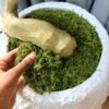 Artificial Green Moss 700g