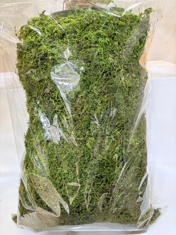 Artificial Green Moss 700g
