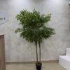 Artificial Mahonia Bealei Plant 200cm, view 4