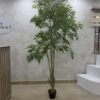 Artificial Mahonia Bealei Plant 210cm