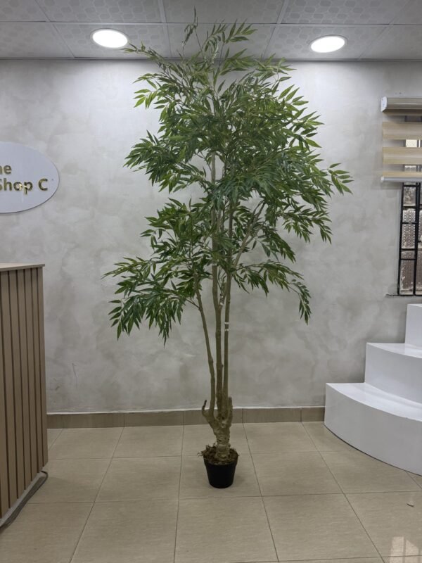 Artificial Mahonia Bealei Plant 210cm