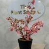 Artificial Mini Cherry Plant 55cm