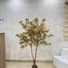 Artificial Money Tree 150cm Artificial Money Tree 150cm