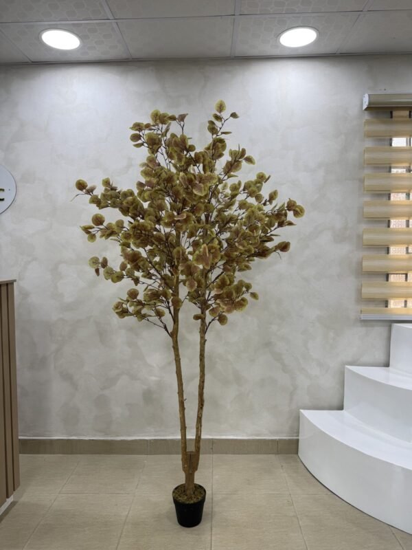 Artificial Money Tree 180cm Artificial Money Tree 180cm, view 3