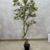 Artificial Osman Tree 150cm, view 5