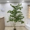 Artificial Pieris Tree 230cm