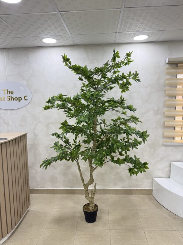 Artificial Pieris Tree 230cm