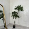 Artificial Twisted Cedar Tree 180cm Artificial Twisted Cedar Tree 180cm, view 2