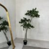 Artificial Twisted Cedar Tree 180cm Artificial Twisted Cedar Tree 180cm, view 3