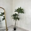 Artificial Twisted Cedar Tree 180cm Artificial Twisted Cedar Tree 180cm, view 4