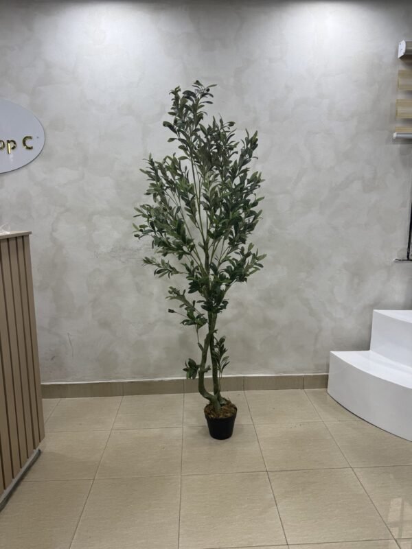 Artificial Twisted Olive Tree 180cm