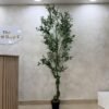 Artificial Twisted Olive Tree 210cm Artificial Twisted Olive Tree 210cm, view 2