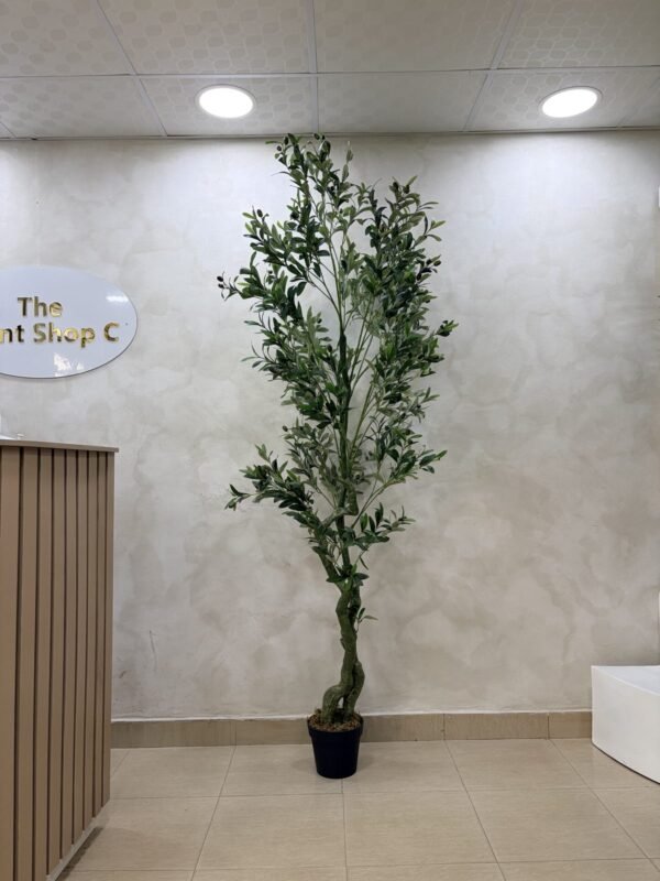 Artificial Twisted Olive Tree 210cm Artificial Twisted Olive Tree 210cm, view 2