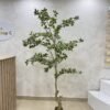 Artificial White Edge Banyan Tree 210cm Artificial White Edge Banyan Tree 210cm
