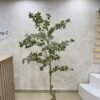 Artificial White Edge Banyan Tree 210cm Artificial White Edge Banyan Tree 210cm, view 2