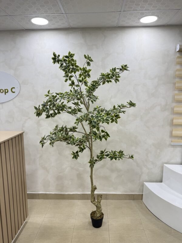 Artificial White Edge Banyan Tree 210cm Artificial White Edge Banyan Tree 210cm, view 2