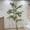 Artificial White Edge Banyan Tree 210cm Artificial White Edge Banyan Tree 210cm, view 3