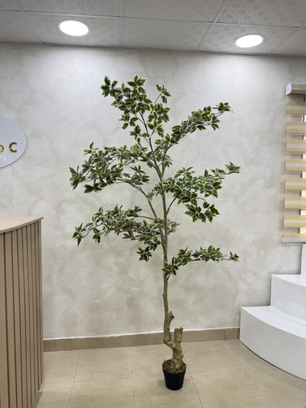 Artificial White Edge Banyan Tree 210cm Artificial White Edge Banyan Tree 210cm, view 3