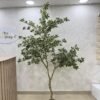 Artificial White Edge Banyan Tree 220cm Artificial White Edge Banyan Tree 220cm, view 2