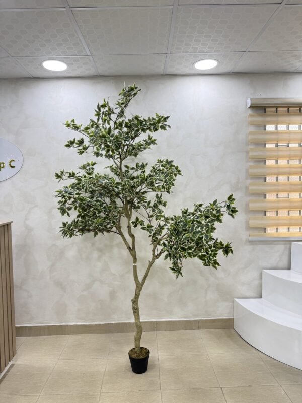 Artificial White Edge Banyan Tree 220cm Artificial White Edge Banyan Tree 220cm, view 3