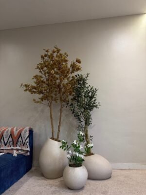 Beacon Cluster Pot Set Styled with Artificial Money Tree, Mini Gardenia and Twisted Olive Tree