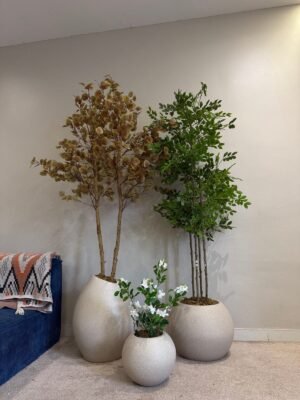 Beacon Cluster Pot Set Styled with Artificial Money Tree, Mini Gardenia and Pumila Tree