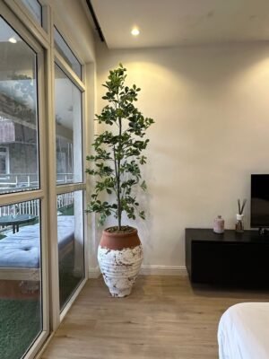 Brown Wash Venice Pot with Straight Cedar Tree