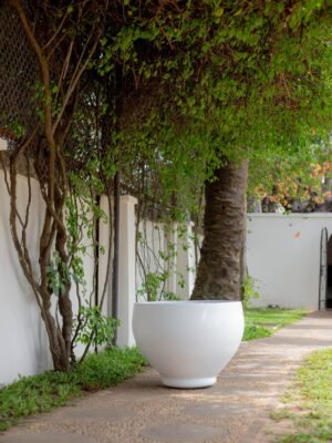 Chinese Cup Fiberglass Planter 59cm