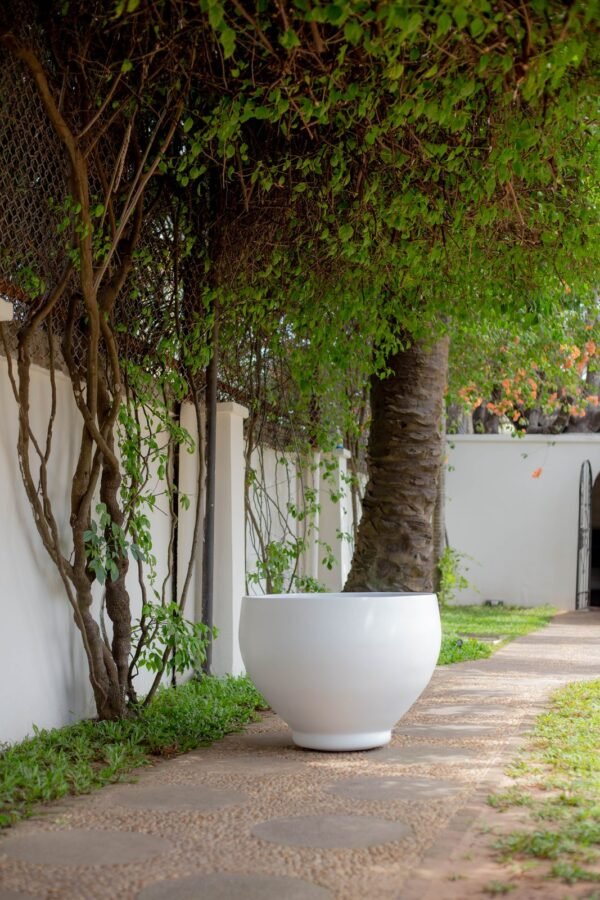 Chinese Cup Fiberglass Planter 59cm Chinese Cup Fiberglass Planter 59cm
