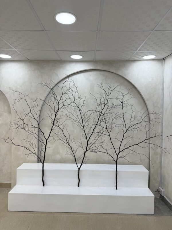 Decorative Twigs (Big)