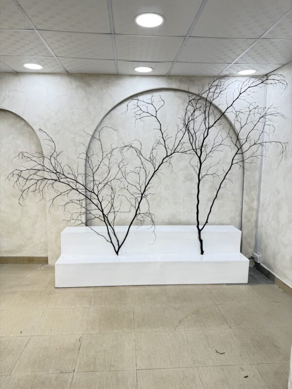 Decorative Twigs (Biggest), view 2