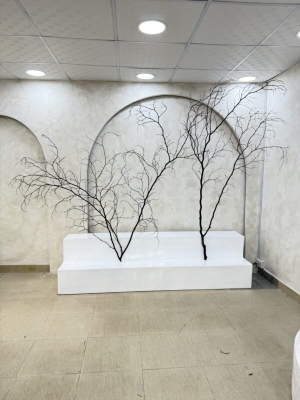 Decorative Twigs (Biggest), view 3